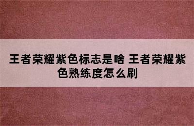 王者荣耀紫色标志是啥 王者荣耀紫色熟练度怎么刷